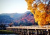 ชมทิวทัศน์ภูเขาอาราชิยามา ที่สะพานโทเง็ตสึเคียว (Togetsukyo) เกียวโต (Kyoto)
