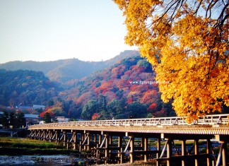 ชมทิวทัศน์ภูเขาอาราชิยามา ที่สะพานโทเง็ตสึเคียว (Togetsukyo) เกียวโต (Kyoto)