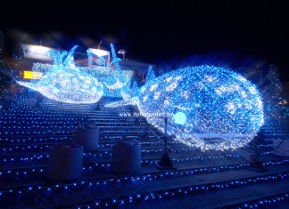 พิพิธภัณฑ์สัตว์น้ำไคยูคัง (Osaka Aquarium Kaiyukan) พิพิธภัณฑ์สัตว์น้ำในร่มใหญ่สุดในโลก ที่โอซาก้า