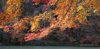เที่ยวญี่ปุ่นชมธรรมชาติ ที่อาราชิยามา (Arashiyama) เกียวโต