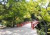 เที่ยวญี่ปุ่นฤดูใบไม้ร่วง ชมใบไม้เปลี่ยนสี ที่สวนโมมิจิดานิ (Momijidani)