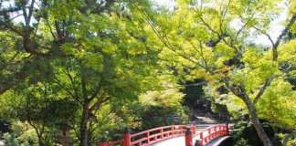 เที่ยวญี่ปุ่นฤดูใบไม้ร่วง ชมใบไม้เปลี่ยนสี ที่สวนโมมิจิดานิ (Momijidani)