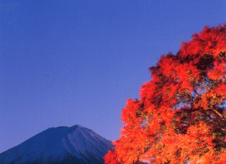Fuji Kawaguchiko Autumn Leaves Festival 1-30 พ.ย. นี้ ที่ คาวากูชิโกะ (Kawaguchiko)