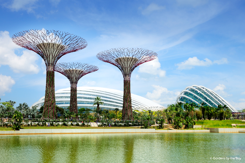การ์เด้นบายเดอะเบย์ (Gardens by The Bay) สวนพฤกษศาสตร์ธรรมชาติ ที่