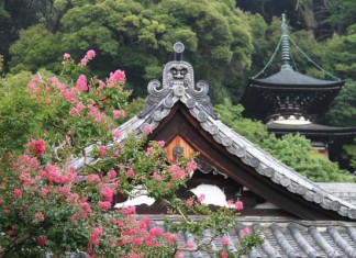 เที่ยวญี่ปุ่นชมใบไม้เปลี่ยนสี ที่วัดเอคันโด (Eikando) เกียวโต