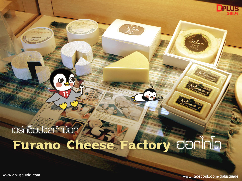 เที่ยวฮอกไกโด เวิร์กช็อปชีสทำมือที่ Furano Cheese Factory DPlus Guide