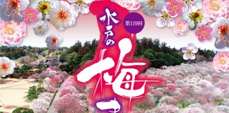 เที่ยวญี่ปุ่น ชมดอกบ๊วย งานเทศกาลชมดอกพลัมมิโตะ (Mito Plum Festival) 20 ก.พ. - 31 มี.ค.