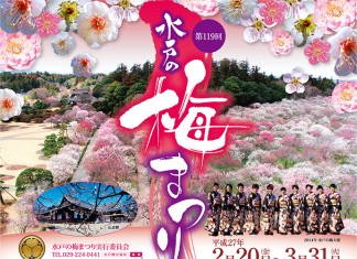 เที่ยวญี่ปุ่น ชมดอกบ๊วย งานเทศกาลชมดอกพลัมมิโตะ (Mito Plum Festival) 20 ก.พ. - 31 มี.ค.