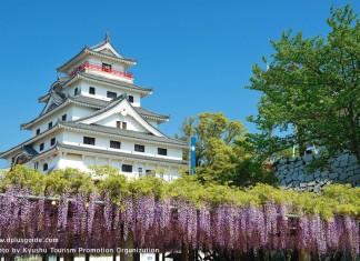 เที่ยวญี่ปุ่น ปราสาท Karatsu นกกระเรียนร่ายรำแห่งคิวชู