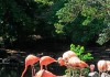 เที่ยวญี่ปุ่น สวนสัตว์ Higashiyama ดูสัตว์ ชมสวนพฤกษศาสตร์ ขึ้นหอชมวิว 3 in 1 แบบนี้ที่จูบุ