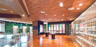 เที่ยวเกาหลี พิพิธภัณฑ์สมุนไพรใจกลางเมือง Yangnyeongsi Herb Medicine