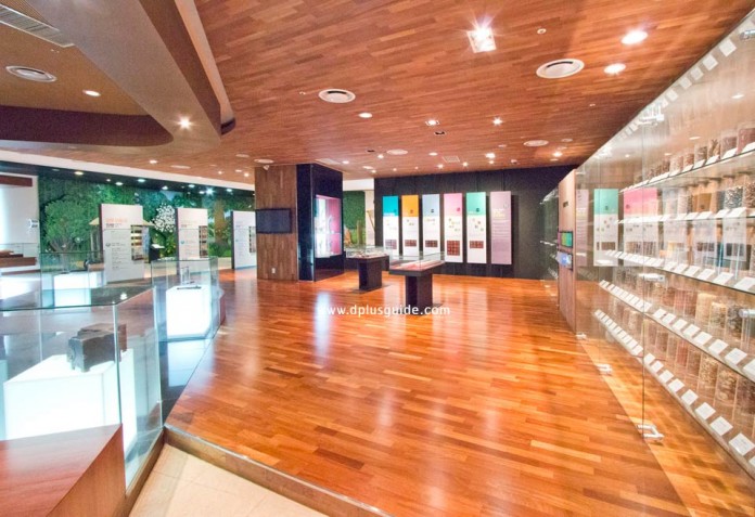 เที่ยวเกาหลี พิพิธภัณฑ์สมุนไพรใจกลางเมือง Yangnyeongsi Herb Medicine