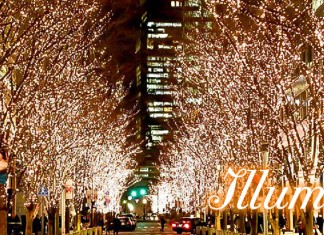 แนะนำเว็บไซต์ รวมแหล่งชมเทศกาลประดับไฟหน้าหนาวในญี่ปุ่น
