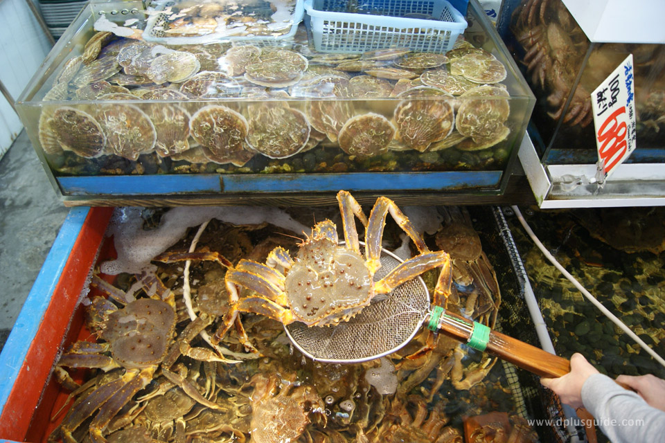 เที่ยวฮอกไกโด เมืองโอตารุ อิ่มท้องริมคลองไปกับร้าน Kitano Ryoba Otaru Ungaten เที่ยวฮอกไกโด เมืองโอตารุ อิ่มท้องริมคลองไปกับร้าน Kitano Ryoba Otaru Ungaten