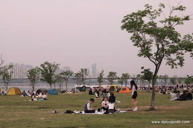 บรรยากศปิกนิกช่วงเย็น Yeouido World River Market Yeouido World River Market
