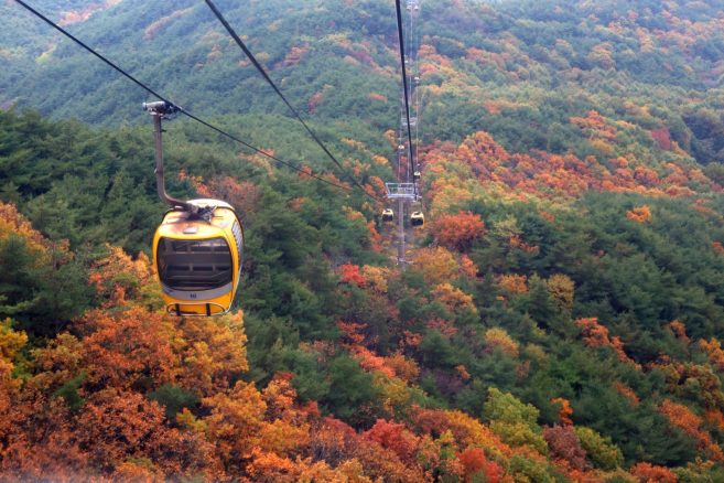 อุทยานแห่งชาติพัลกงซาน (Palgongsan National Park) อุทยานแห่งชาติพัลกงซาน (Palgongsan National Park)