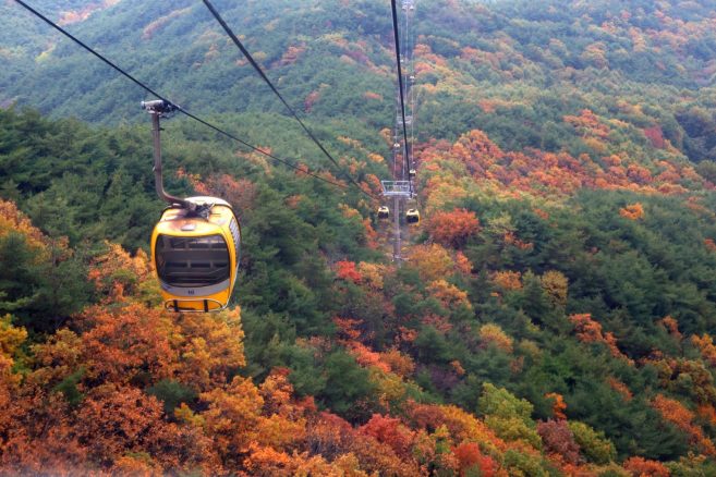 อุทยานแห่งชาติพัลกงซาน (Palgongsan National Park)