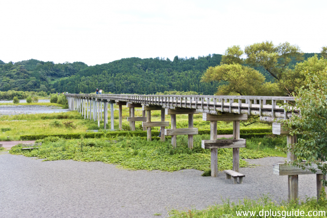 สะพานไม้ที่ยาวที่สุดในญี่ปุ่น (Horai)