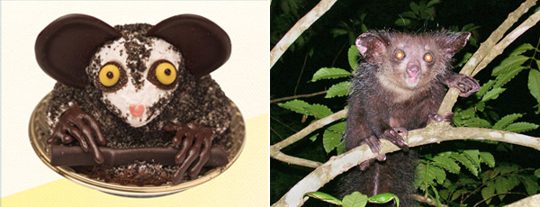 Aye-Aye sweets from Niche animals x Patisserie Swallowtail