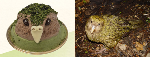 Kakapo sweets from Niche animals x Patisserie Swallowtail