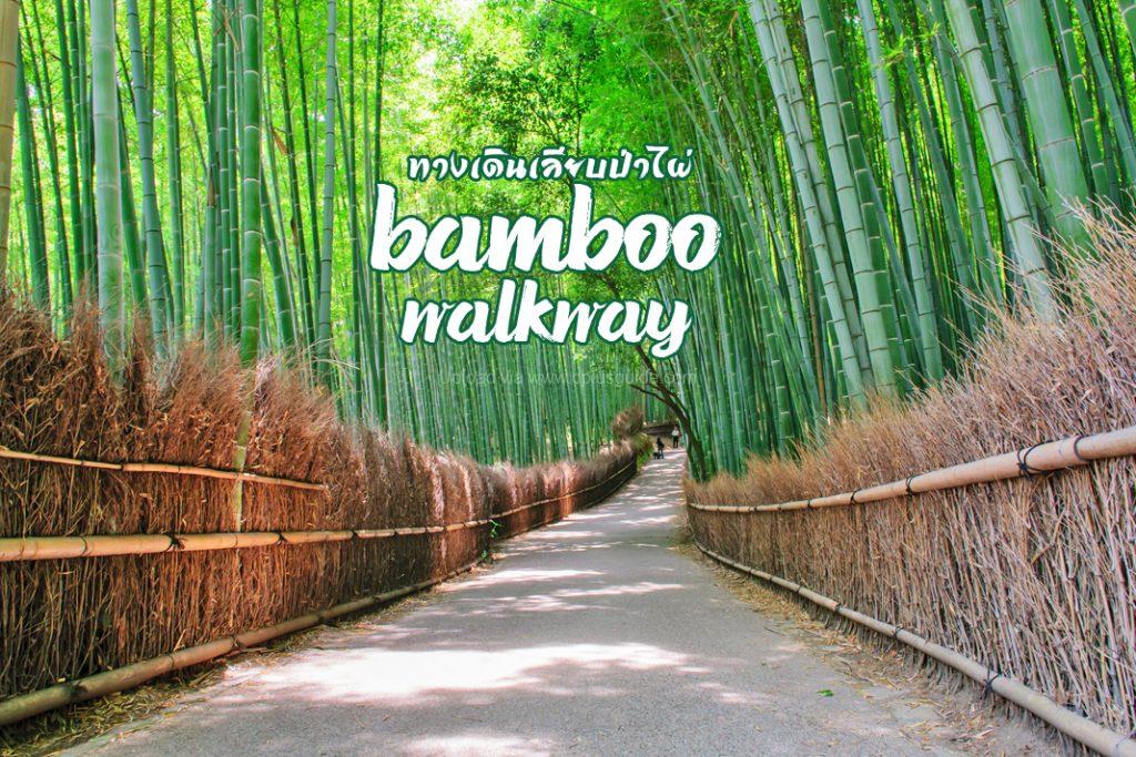 เที่ยวญี่ปุ่น เมืองเกียวโต ทางเดินเลียบป่าไผ่ DPlus Guide