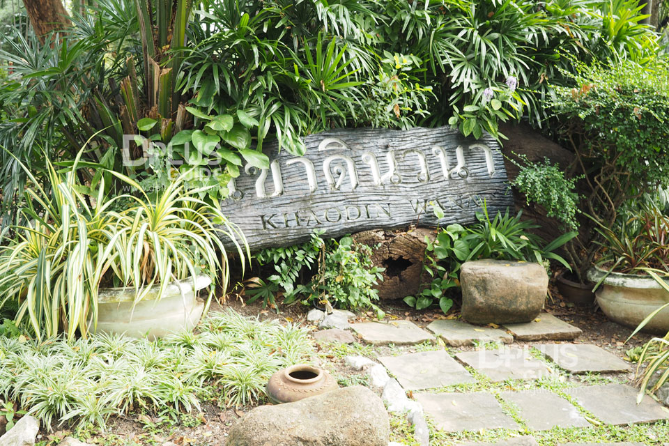 บริเวณต้นสัก สวนสัตว์ดุสิต (Dusit Zoo) บริเวณต้นสัก สวนสัตว์ดุสิต (Dusit Zoo)