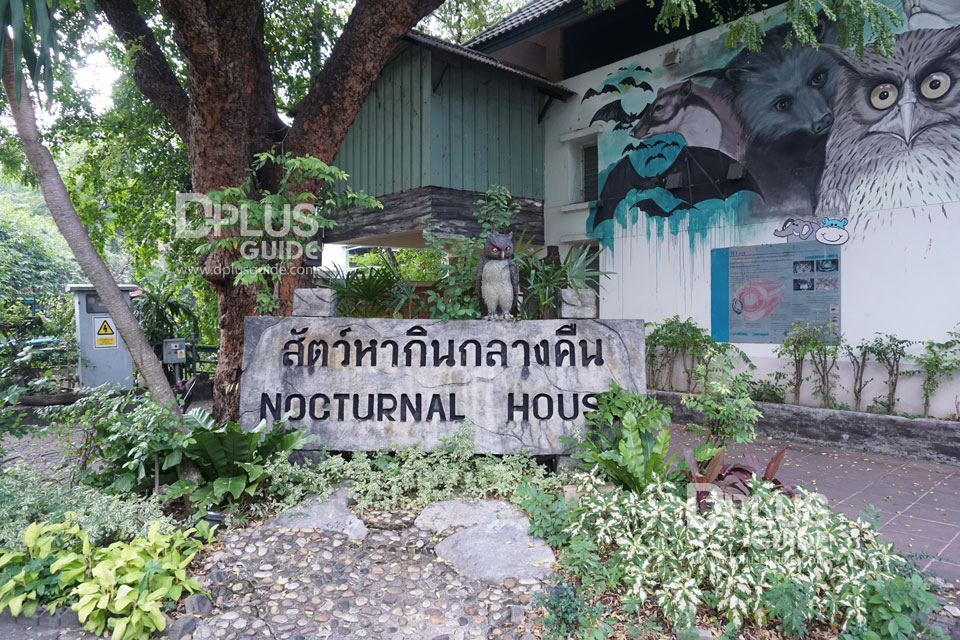 สัตว์หากินกลางคืน สวนสัตว์ดุสิต (Dusit Zoo) สัตว์หากินกลางคืน สวนสัตว์ดุสิต (Dusit Zoo)