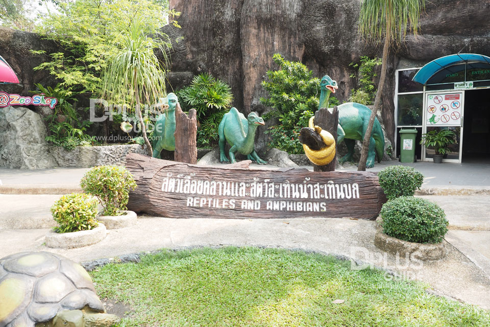 สัตว์เลื้อยคลานและสัตว์สะเทินน้ำสะเทินบก สวนสัตว์ดุสิต (Dusit Zoo) สัตว์เลื้อยคลานและสัตว์สะเทินน้ำสะเทินบก สวนสัตว์ดุสิต (Dusit Zoo)