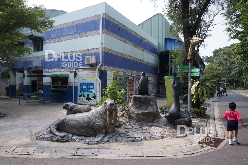 การแสดงแมวน้ำ สวนสัตว์ดุสิต (Dusit Zoo) การแสดงแมวน้ำ สวนสัตว์ดุสิต (Dusit Zoo)