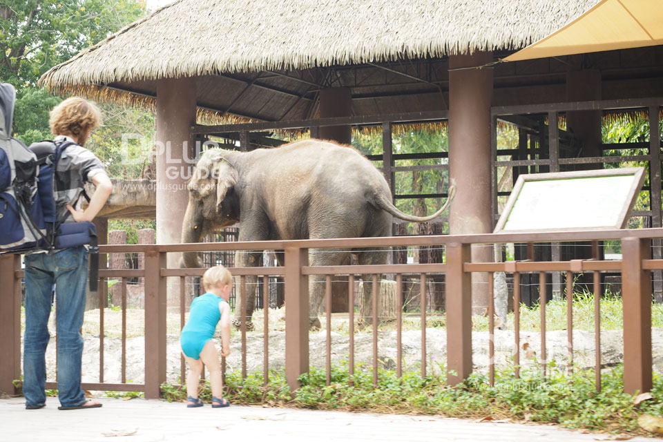 ส่วนจัดแสดงช้าง สวนสัตว์ดุสิต (Dusit Zoo) ส่วนจัดแสดงช้าง สวนสัตว์ดุสิต (Dusit Zoo)