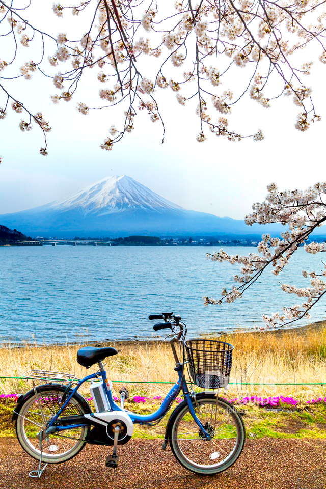 ทะเลสาบคาวากูชิโก (Kawaguchiko) ทะเลสาบคาวากูชิโก (Kawaguchiko)