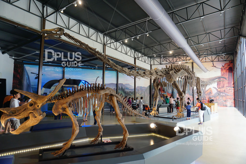 ภายในห้องที่ 3 DINOSAUR DISTRICT ภายในห้องที่ 3 DINOSAUR DISTRICT
