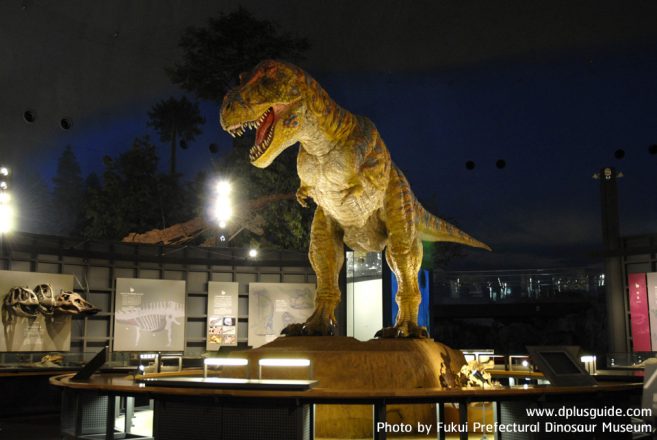 เที่ยวคิวชู พิพิธภัณฑ์ไดโนเสาร์สุดอลังการ Fukui Prefectural Dinosaur