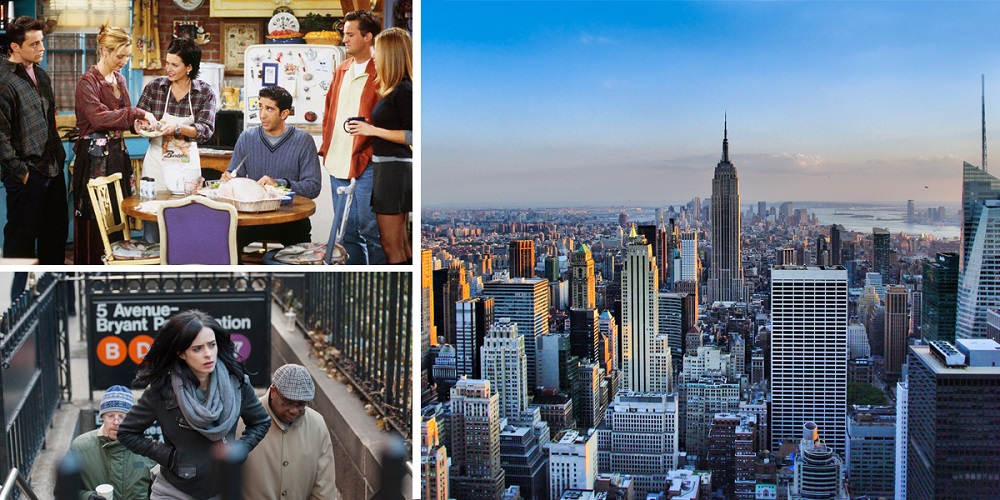 New York DPlus Guide