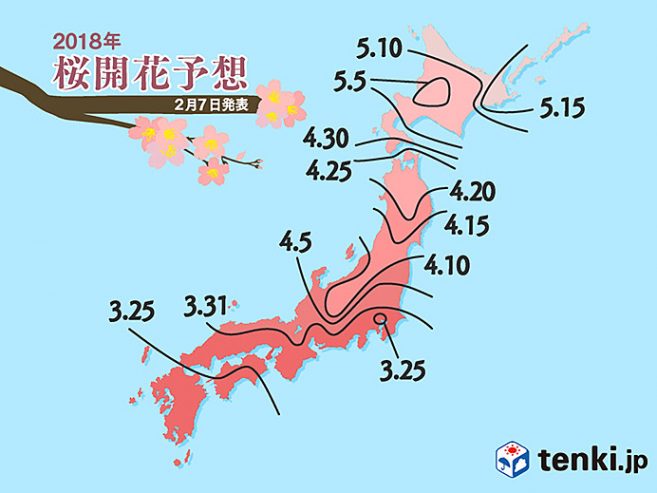 พยากรณ์ซากุระ 2018 มาแล้ว! ปีนี้โตเกียวบานไวกว่าปกติเล็กน้อย