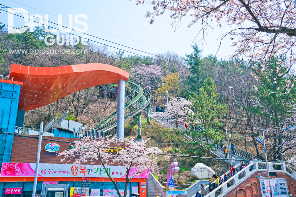 บริเวณด้านหน้าของสวนจะเป็นที่ตั้งของสถานี Cable car ที่จะพาไปยังยอดเขาด้วย บริเวณด้านหน้าของสวนจะเป็นที่ตั้งของสถานี Cable car ที่จะพาไปยังยอดเขาด้วย