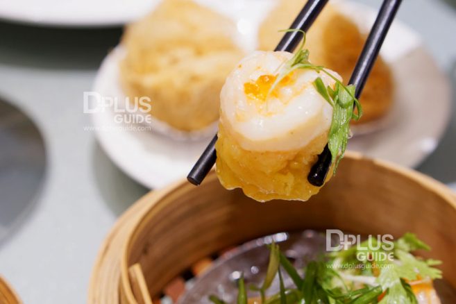 เมนูขนมจีบกุ้งกระจก ห้องอาหารจีนดราก้อน DRAGON Luxury Chinese Cuisine