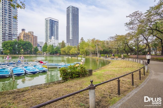 สระ Shinobazu สระ Shinobazu