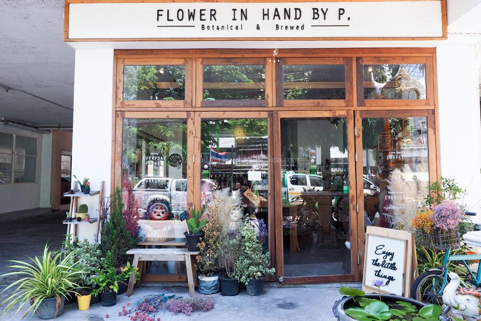 FlowerInHandByP. DPlus Guide