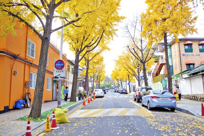 ถนนซัมชองดองกิล Samcheongdong-gil