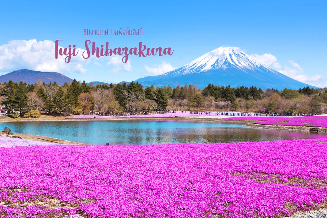 Turmushga chiqqan ayollarning shaxsiy foto pornosi dedi