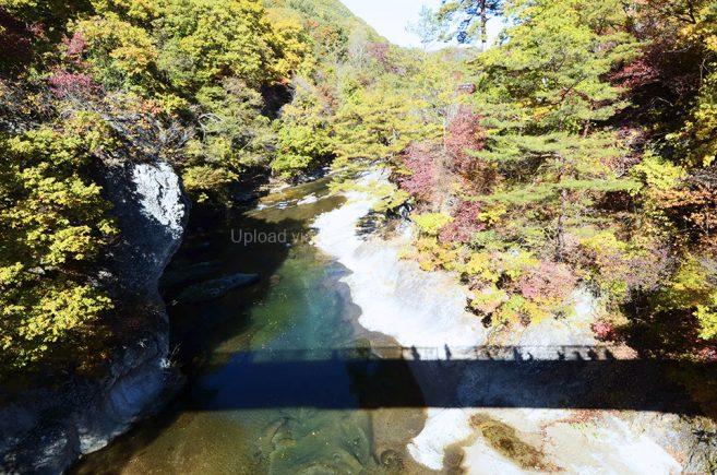 น้ำตกไนแองการ่าญี่ปุ่น Fukiware Falls