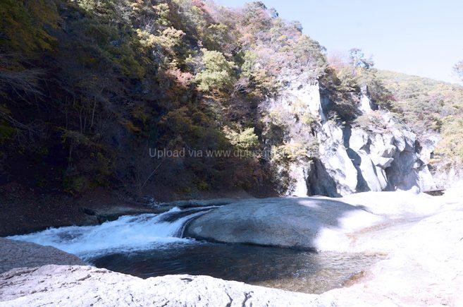 น้ำตกไนแองการ่าญี่ปุ่น Fukiware Falls